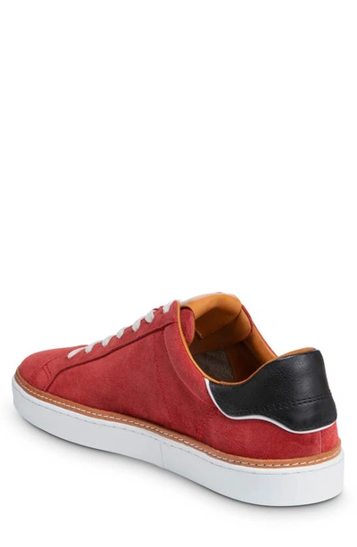 Shop Allen Edmonds Alpha Sneaker In Crimson
