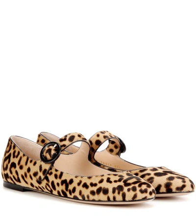 Gianvito Rossi Woman Leopard-print Calf Hair Ballet Flats Animal Print