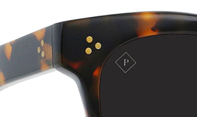 Shop Raen Nikol 52mm Polarized Round Sunglasses In Nero Tortoise / Dark Smoke-52