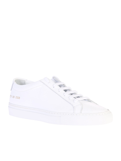 Shop Common Projects Leather Sneakers In White