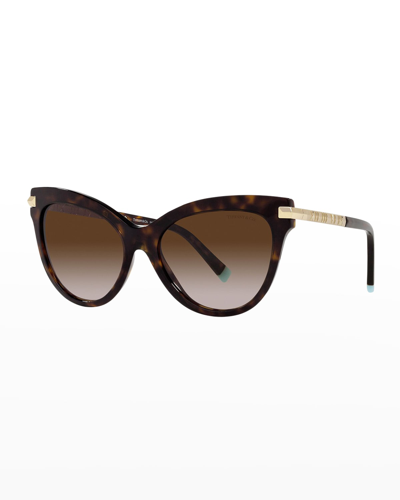 Shop Tiffany & Co Roman Numerals Acetate Cat-eye Sunglasses