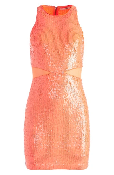 Shop Alice And Olivia Cara Sequin Mesh Inset Minidress In Bright Coral