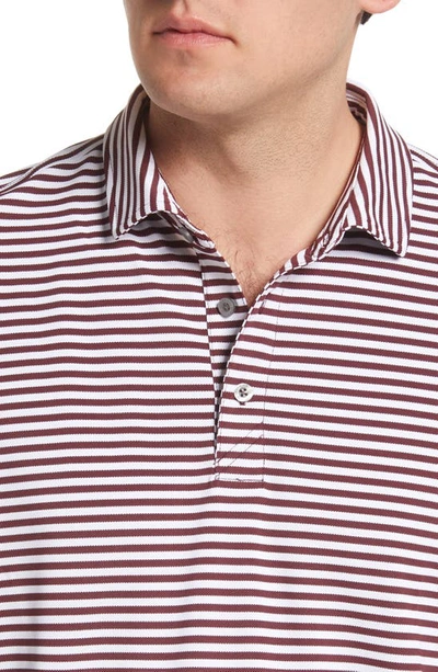 Cutter & Buck Virtue Piqué Stripe Recycled Blend Polo In Bordeaux
