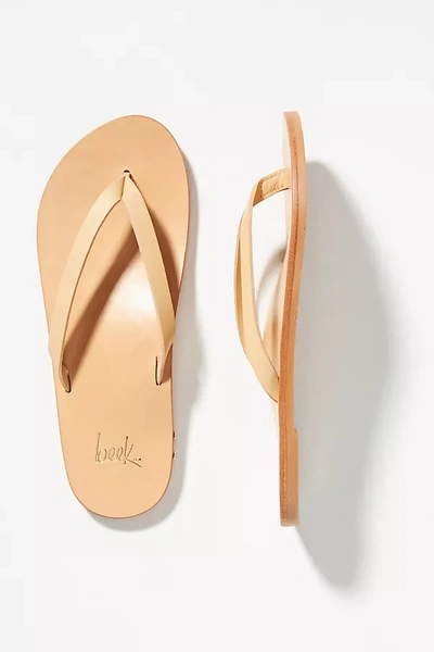 Shop Beek Seabird Slide Sandals In Beige
