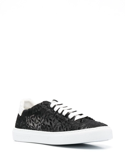 Shop Hide & Jack Floral-embroidery Low-top Sneakers In Black