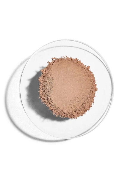 Colorescience Sunforgettable® Total Protection™ Brush-on Shield Spf 50 Sunscreen In Bronze