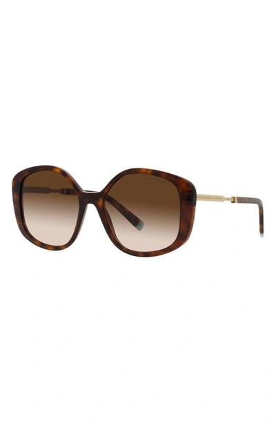 Shop Tiffany & Co 54mm Gradient Irregular Sunglasses In Havana/ Brown Gradient