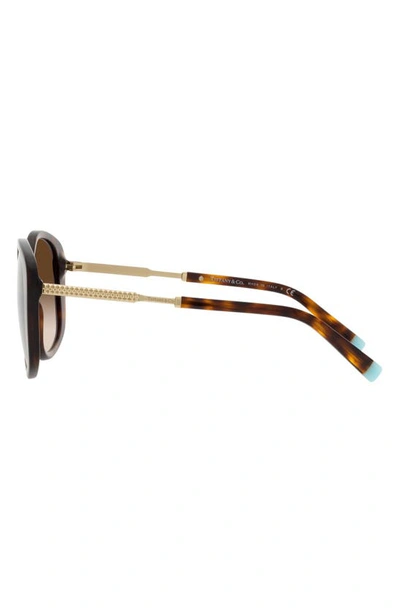 Shop Tiffany & Co 54mm Gradient Irregular Sunglasses In Havana/ Brown Gradient