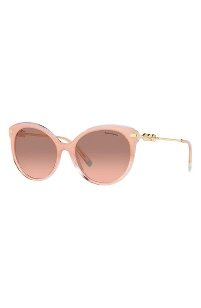 Shop Tiffany & Co 55mm Gradient Cat Eye Sunglasses In Milky Pink/ Pink Dark Brown
