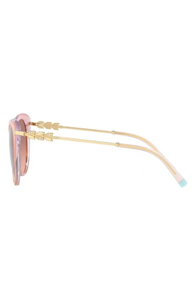 Shop Tiffany & Co 55mm Gradient Cat Eye Sunglasses In Milky Pink/ Pink Dark Brown