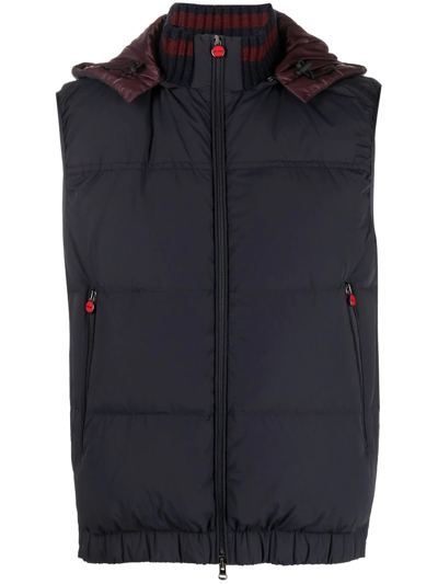 Shop Kiton Feather-down Padded Gilet In Blue