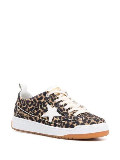 Shop Golden Goose Leather Leopard-print Sneakers In Brown