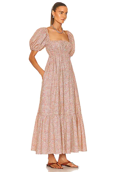 Shop Matteau Shirred Peasant Dress In Starflower