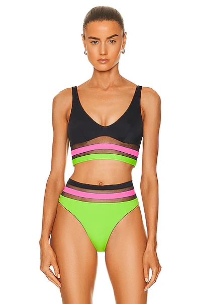 Shop Agent Provocateur Zenaya Bikini Bra Top In Black  Apple Green  & Pink