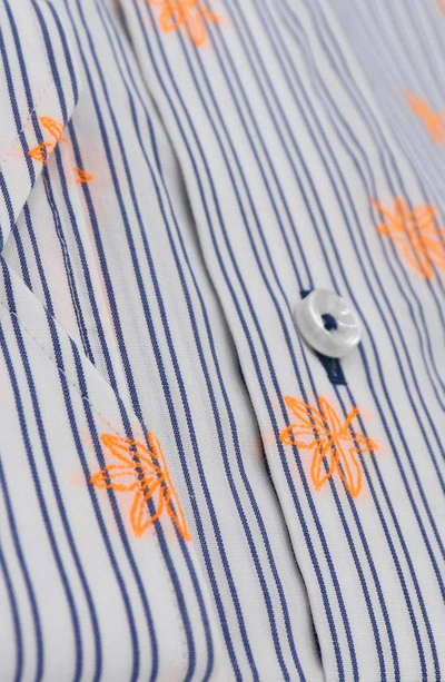 Lorenzo Uomo Trim Fit Stripe Neon Embroidery Dress Shirt In White/ Blue