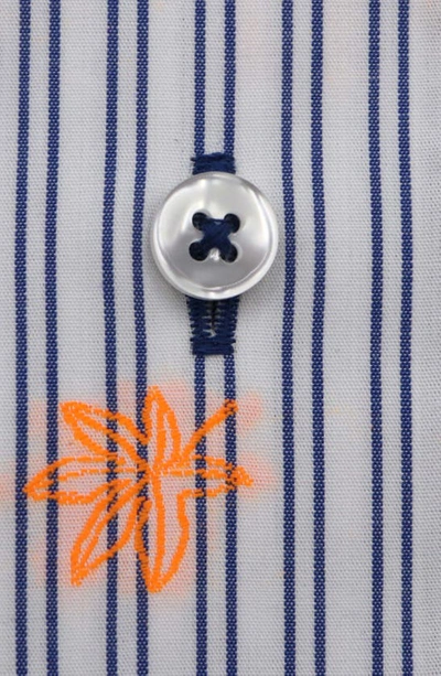 Lorenzo Uomo Trim Fit Stripe Neon Embroidery Dress Shirt In White/ Blue
