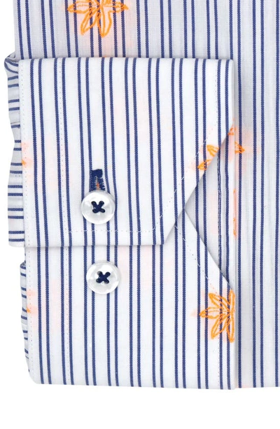 Lorenzo Uomo Trim Fit Stripe Neon Embroidery Dress Shirt In White/ Blue