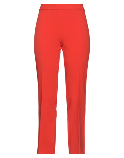 Shop Jucca Woman Pants Red Size 6 Viscose, Polyamide, Elastane