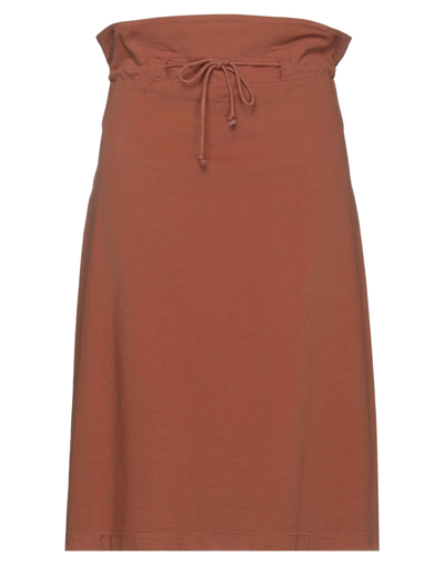 Shop Bellwood Woman Midi Skirt Brown Size 10 Cotton, Elastane