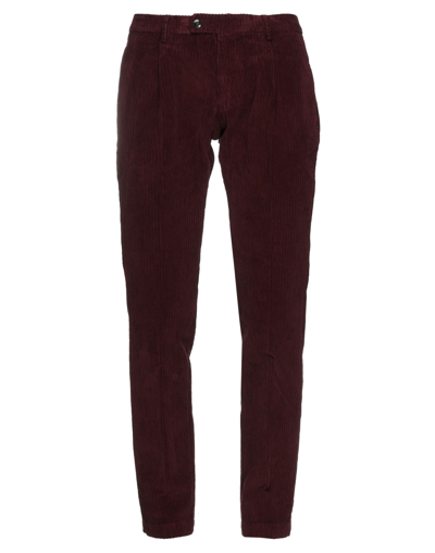 Shop Gabardine Man Pants Burgundy Size 35 Cotton, Elastane In Red