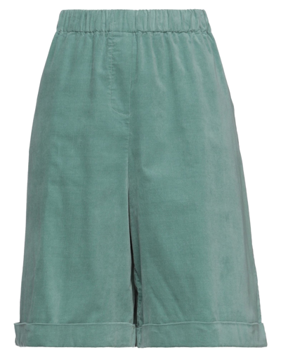Semicouture Woman Shorts & Bermuda Shorts Sage Green Size 6 Cotton, Elastane In Sage Green