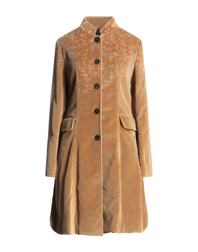 Shop High Woman Coat Camel Size 10 Cotton In Beige