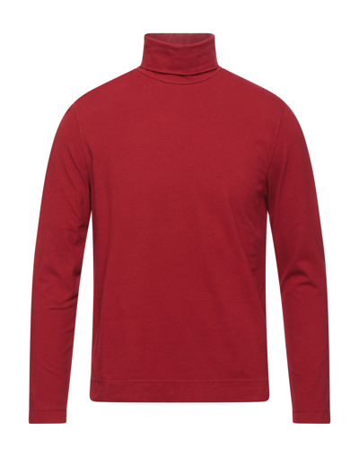 Shop Circolo 1901 Man T-shirt Burgundy Size M Cotton, Elastane In Red