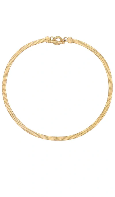 Shop 8 Other Reasons Tubular Chain Necklace In Metallic Gold