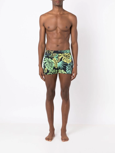 Shop Amir Slama Leaf-print Swim Shorts In Green