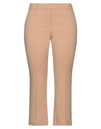 Sportmax Woman Pants Camel Size 12 Cotton, Polyamide, Elastane In Camel