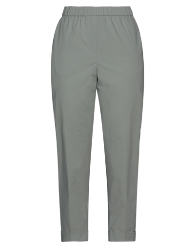 Shop Accuà By Psr Woman Pants Grey Size 6 Cotton, Elastane