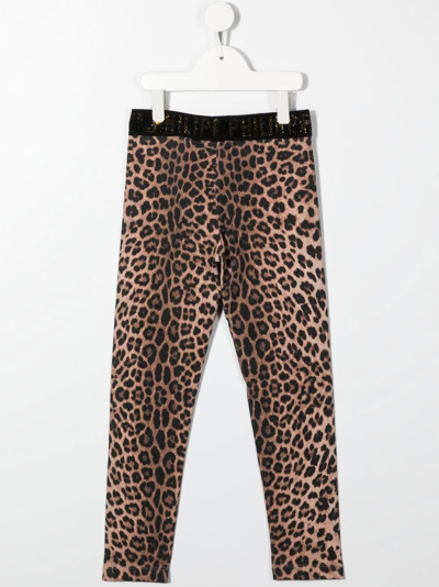 Shop Philipp Plein Junior Leopard-print Logo-waist Leggings In Brown