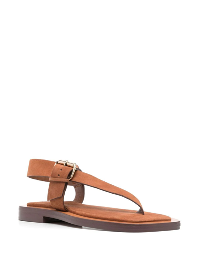 Shop A.emery Hilla 25mm Leather Sandals In Brown