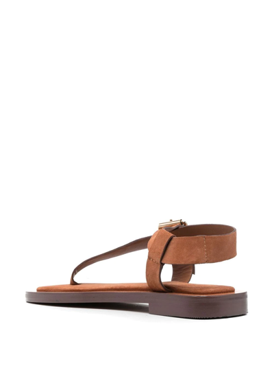 Shop A.emery Hilla 25mm Leather Sandals In Brown