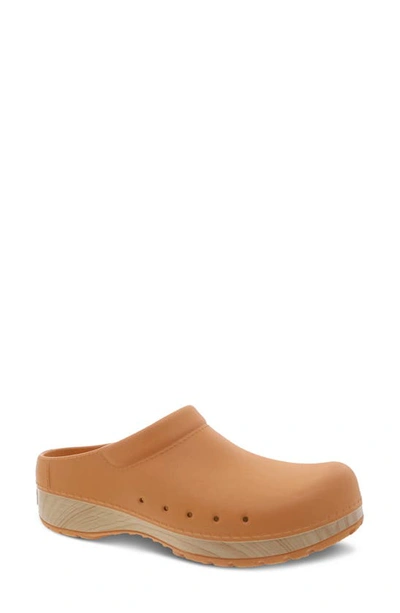 Shop Dansko Kane Clog In Mango