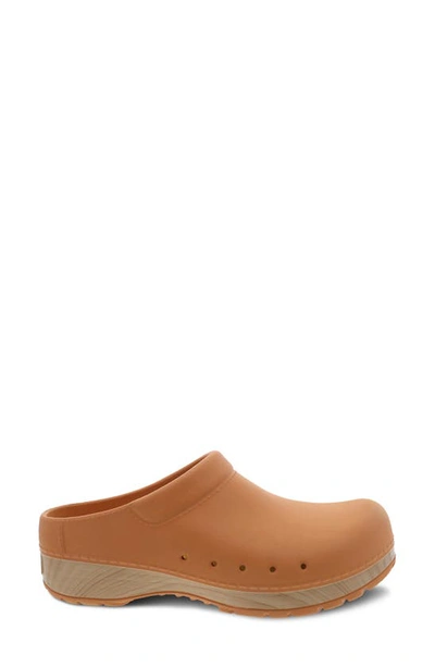 Shop Dansko Kane Clog In Mango