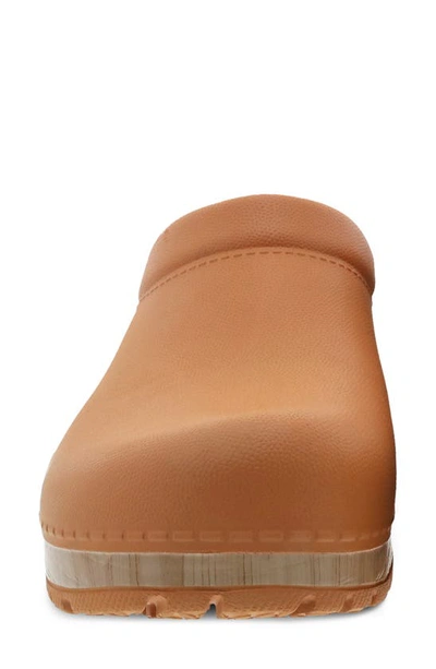 Shop Dansko Kane Clog In Mango