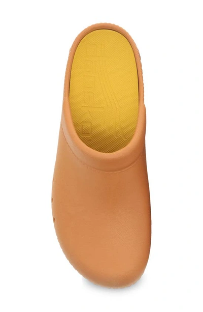 Shop Dansko Kane Clog In Mango