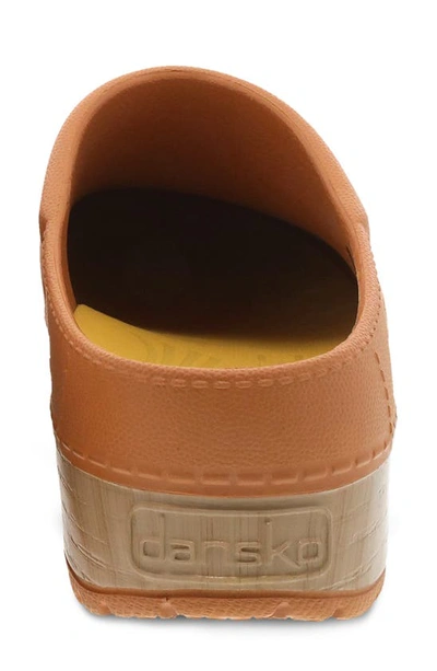 Shop Dansko Kane Clog In Mango