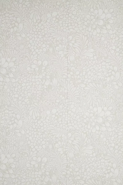 Shop A-street Prints Siv Botanical Wallpaper In Grey