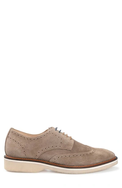 Shop Thomas & Vine Chadwick Wingtip Derby In Taupe