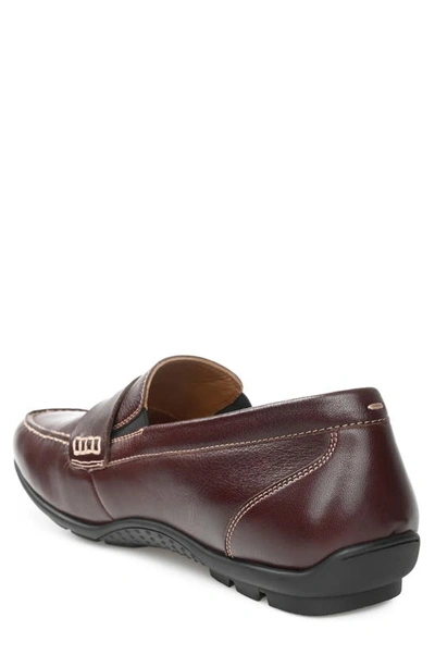 Shop Thomas & Vine Woodrow Driving Loafer In Wine