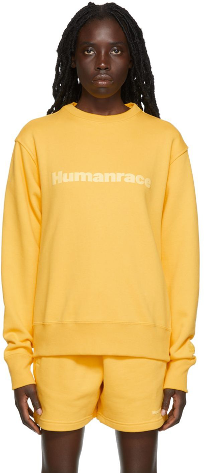 Shop Adidas X Humanrace By Pharrell Williams Yellow Humanrace Basics Sweatshirt In Bold Gold