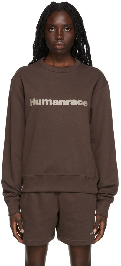 Shop Adidas X Humanrace By Pharrell Williams Brown Humanrace Basics Sweatshirt
