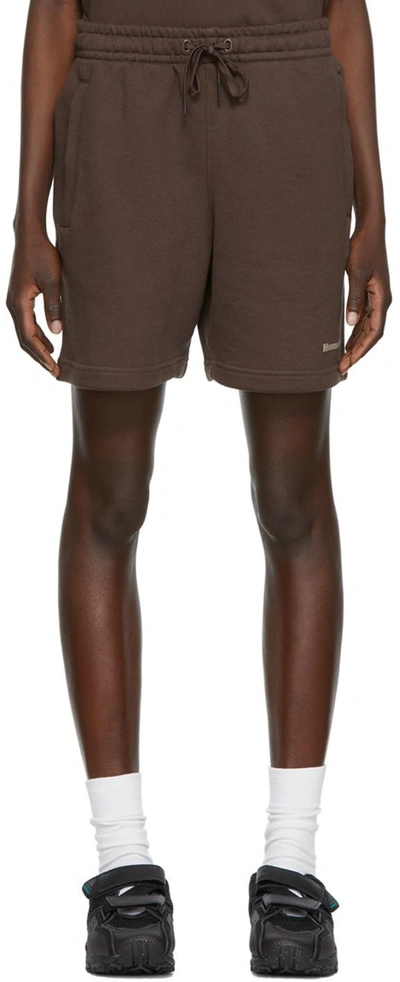 Shop Adidas X Humanrace By Pharrell Williams Brown Humanrace Basics Shorts