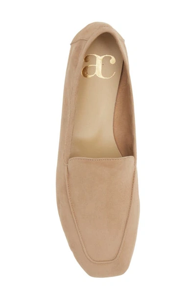 Shop Andrea Carrano Blunt Toe Loafer In Beige Suede