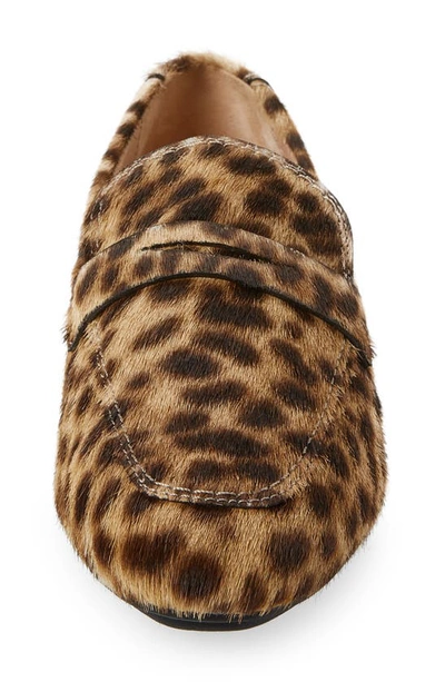 Shop Stuart Weitzman Jet Penny Loafer In Classic Cheetah Calf Hair