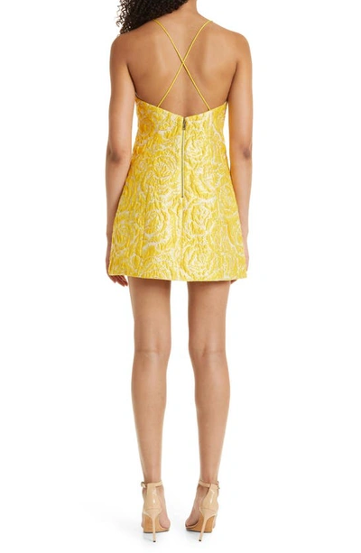 Shop Alice And Olivia Tayla Jacquard Satin Minidress In Sunbeam
