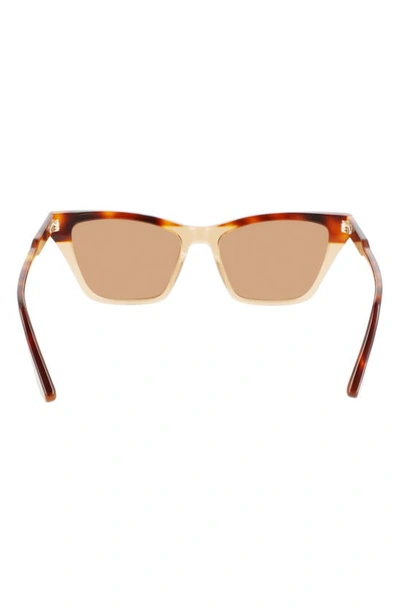 Shop Victoria Beckham 55mm Gradient Lens Cat Eye Sunglasses In Havana-caramel