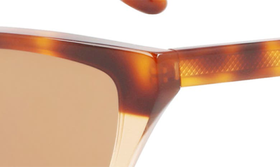 Shop Victoria Beckham 55mm Gradient Lens Cat Eye Sunglasses In Havana-caramel